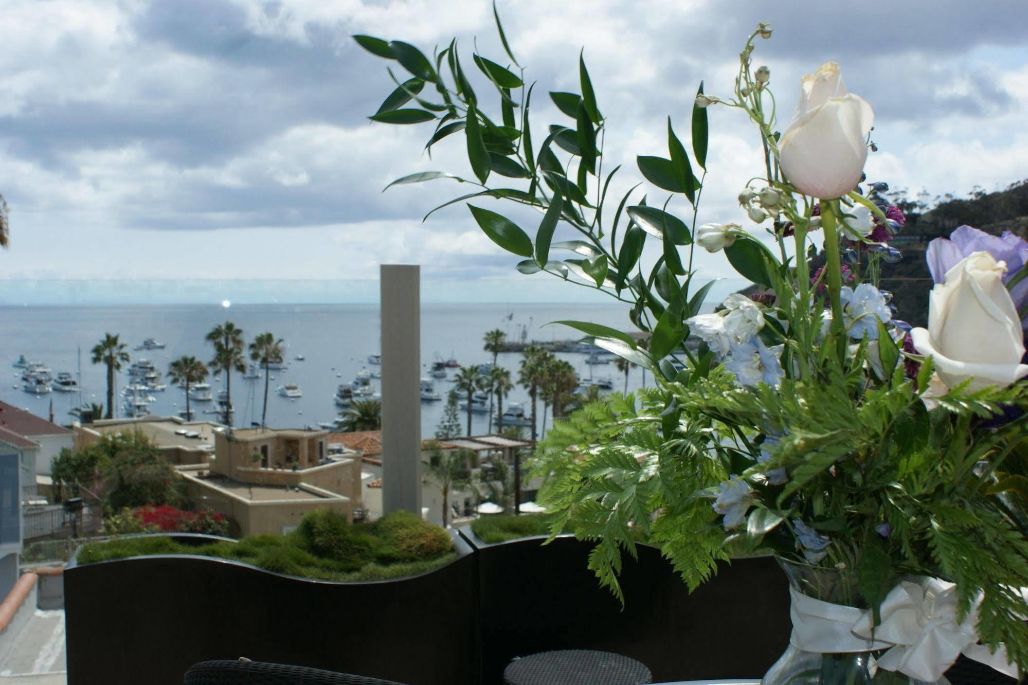 Aurora Hotel Avalon Bagian luar foto